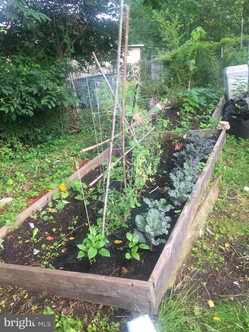 2906 25TH ST NE, WASHINGTON, District Of Columbia 20018, 5 Bedrooms Bedrooms, ,3 BathroomsBathrooms,Residential,For sale,2906 25TH ST NE,DCDC2145600 MLS # DCDC2145600 2906 25TH ST NE, WASHINGTON, District Of Columbia 20018, 5 Bedrooms Bedrooms, ,3 BathroomsBathrooms,Residential,For sale,2906 25TH ST NE,DCDC2145600 MLS # DCDC2145600