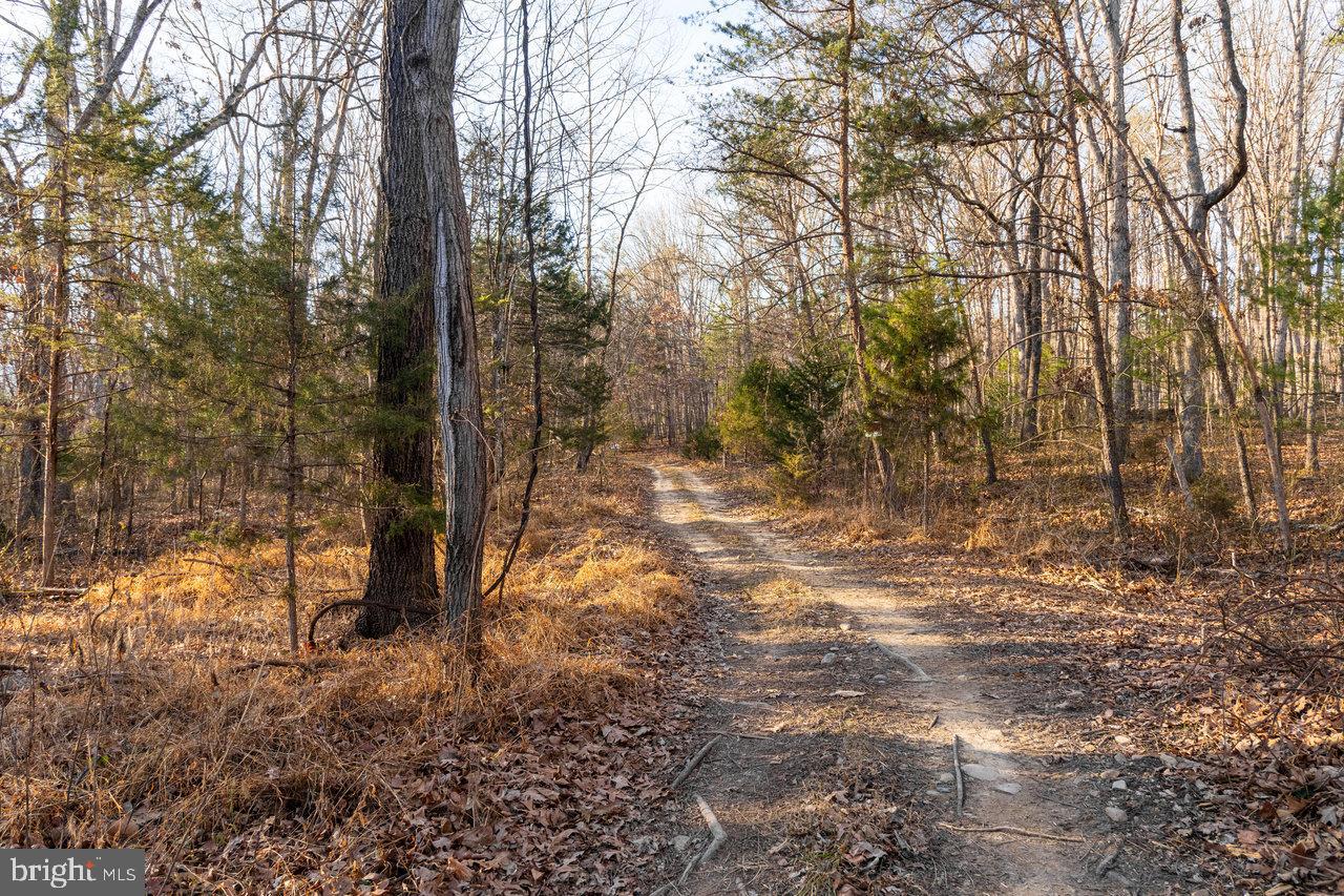 0 WOODLAND DR, LURAY, Virginia 22835, ,Land,For sale,0 WOODLAND DR,VAPA2005678 MLS # VAPA2005678