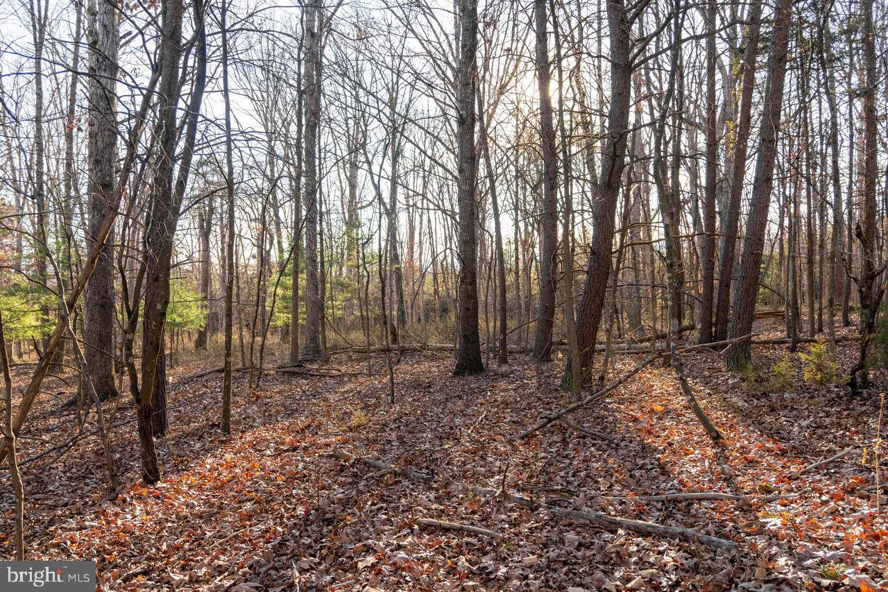 0 WOODLAND DR, LURAY, Virginia 22835, ,Land,For sale,0 WOODLAND DR,VAPA2005678 MLS # VAPA2005678