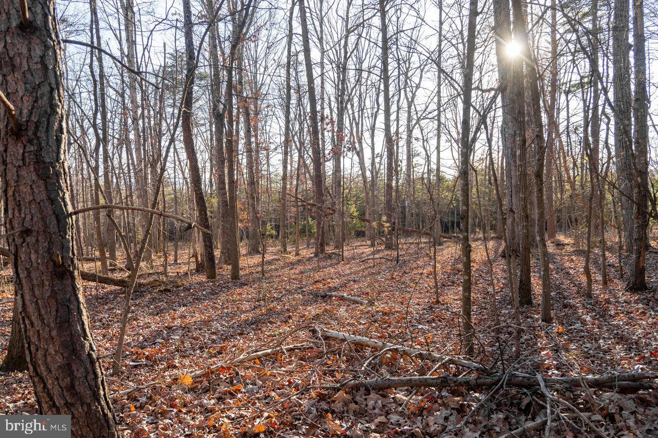 0 WOODLAND DR, LURAY, Virginia 22835, ,Land,For sale,0 WOODLAND DR,VAPA2005678 MLS # VAPA2005678