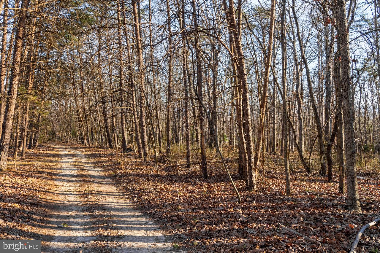 0 WOODLAND DR, LURAY, Virginia 22835, ,Land,For sale,0 WOODLAND DR,VAPA2005678 MLS # VAPA2005678