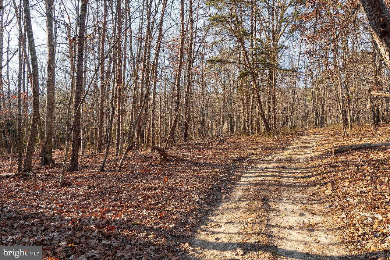 0 WOODLAND DR, LURAY, Virginia 22835, ,Land,For sale,0 WOODLAND DR,VAPA2005678 MLS # VAPA2005678