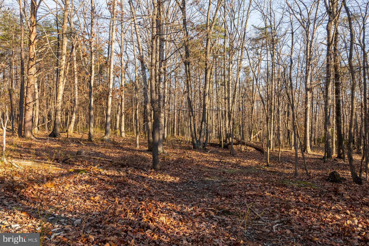 0 WOODLAND DR, LURAY, Virginia 22835, ,Land,For sale,0 WOODLAND DR,VAPA2005678 MLS # VAPA2005678