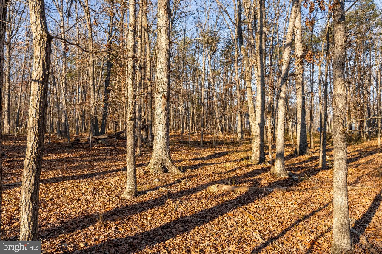0 WOODLAND DR, LURAY, Virginia 22835, ,Land,For sale,0 WOODLAND DR,VAPA2005678 MLS # VAPA2005678