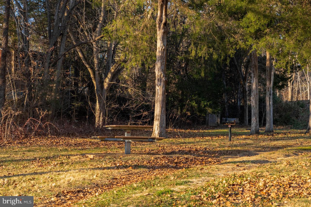 0 WOODLAND DR, LURAY, Virginia 22835, ,Land,For sale,0 WOODLAND DR,VAPA2005678 MLS # VAPA2005678