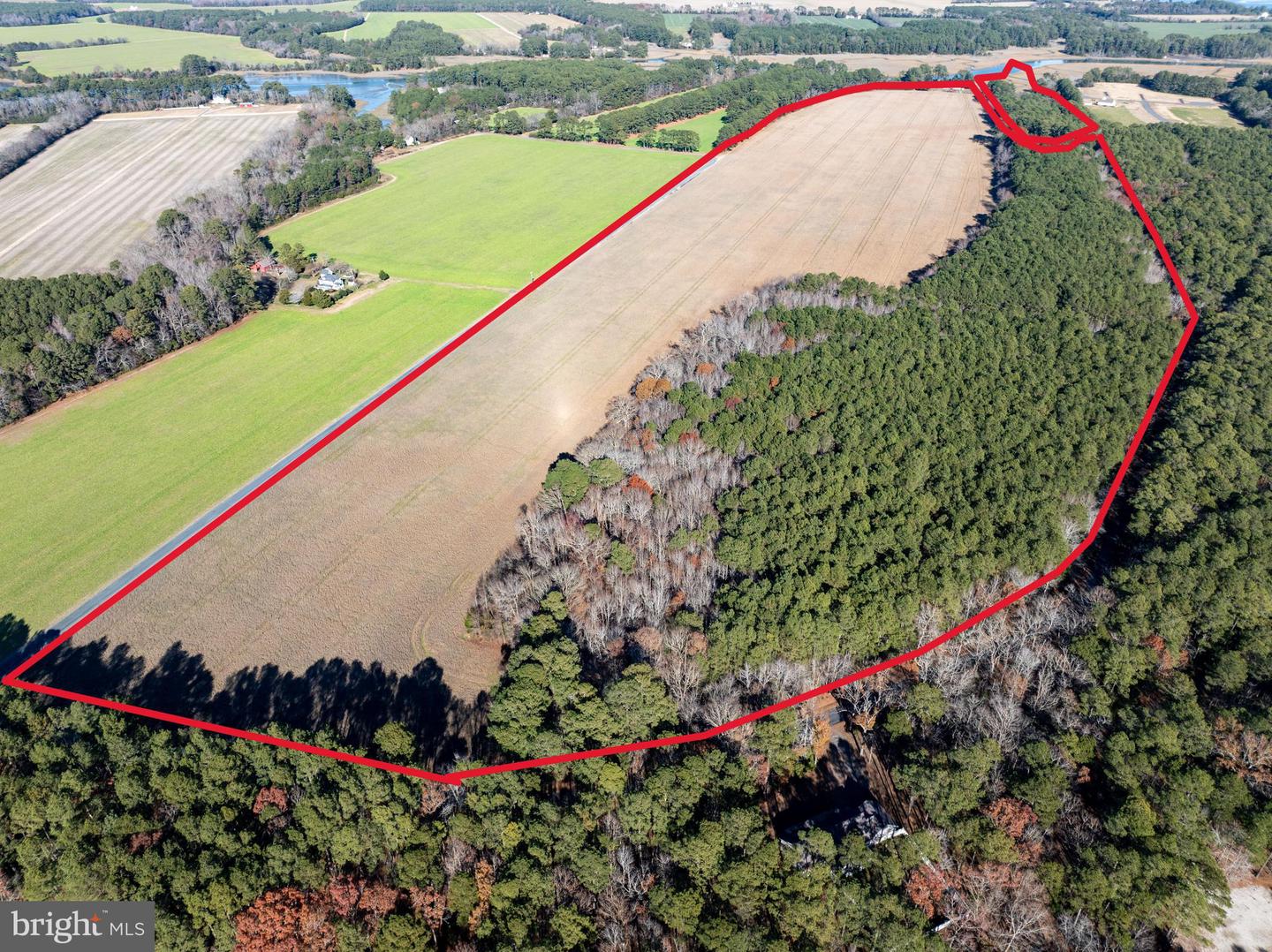 FOLLY CREEK RD, ACCOMAC, Virginia 23301, ,Farm,For sale,FOLLY CREEK RD,VAAC2002456 MLS # VAAC2002456 FOLLY CREEK RD, ACCOMAC, Virginia 23301, ,Farm,For sale,FOLLY CREEK RD,VAAC2002456 MLS # VAAC2002456