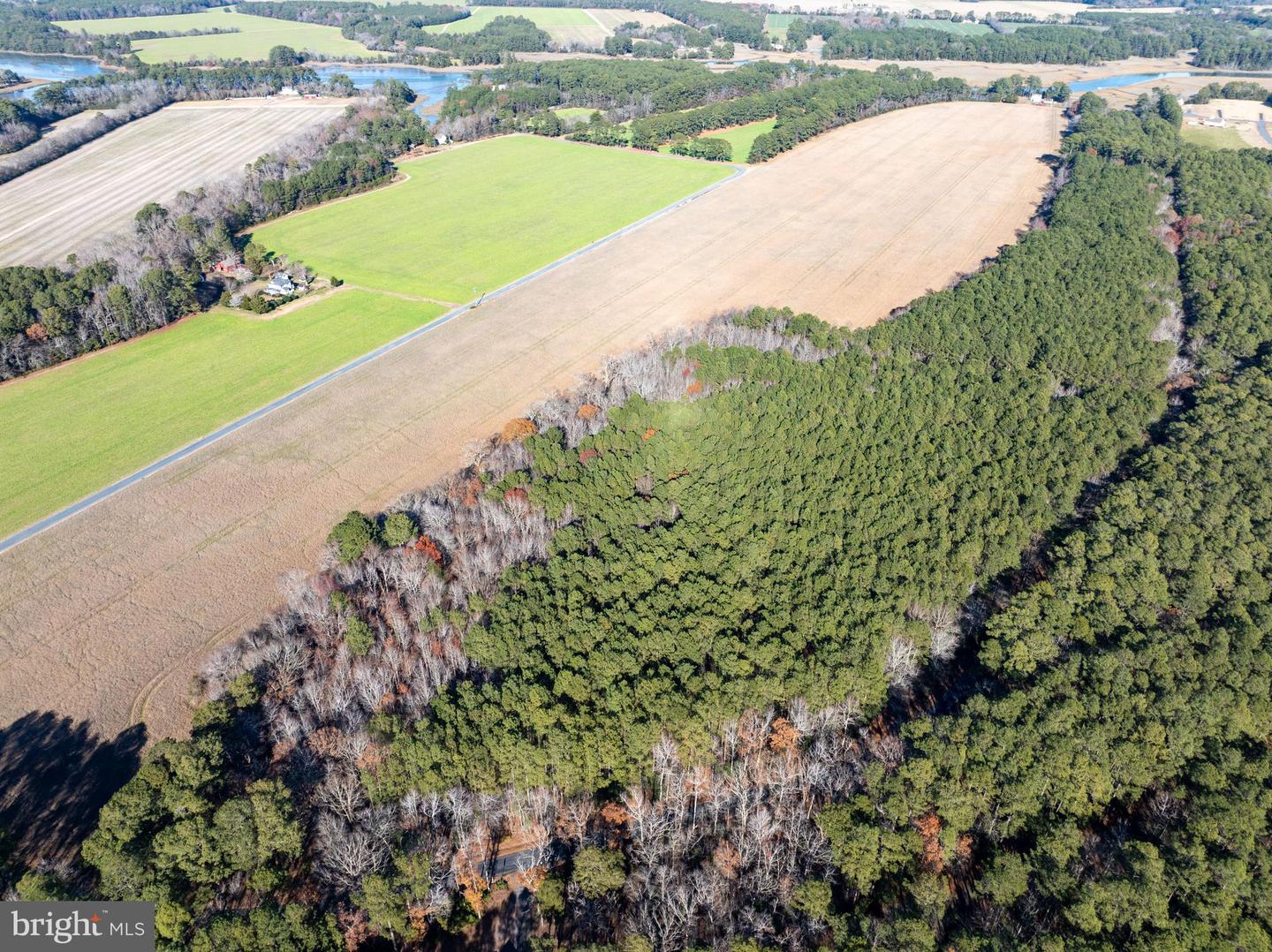 FOLLY CREEK RD, ACCOMAC, Virginia 23301, ,Farm,For sale,FOLLY CREEK RD,VAAC2002456 MLS # VAAC2002456 FOLLY CREEK RD, ACCOMAC, Virginia 23301, ,Farm,For sale,FOLLY CREEK RD,VAAC2002456 MLS # VAAC2002456