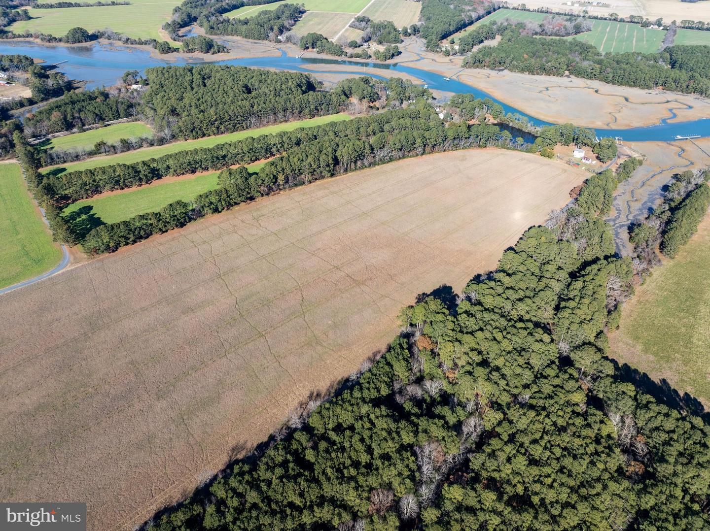 FOLLY CREEK RD, ACCOMAC, Virginia 23301, ,Farm,For sale,FOLLY CREEK RD,VAAC2002456 MLS # VAAC2002456 FOLLY CREEK RD, ACCOMAC, Virginia 23301, ,Farm,For sale,FOLLY CREEK RD,VAAC2002456 MLS # VAAC2002456