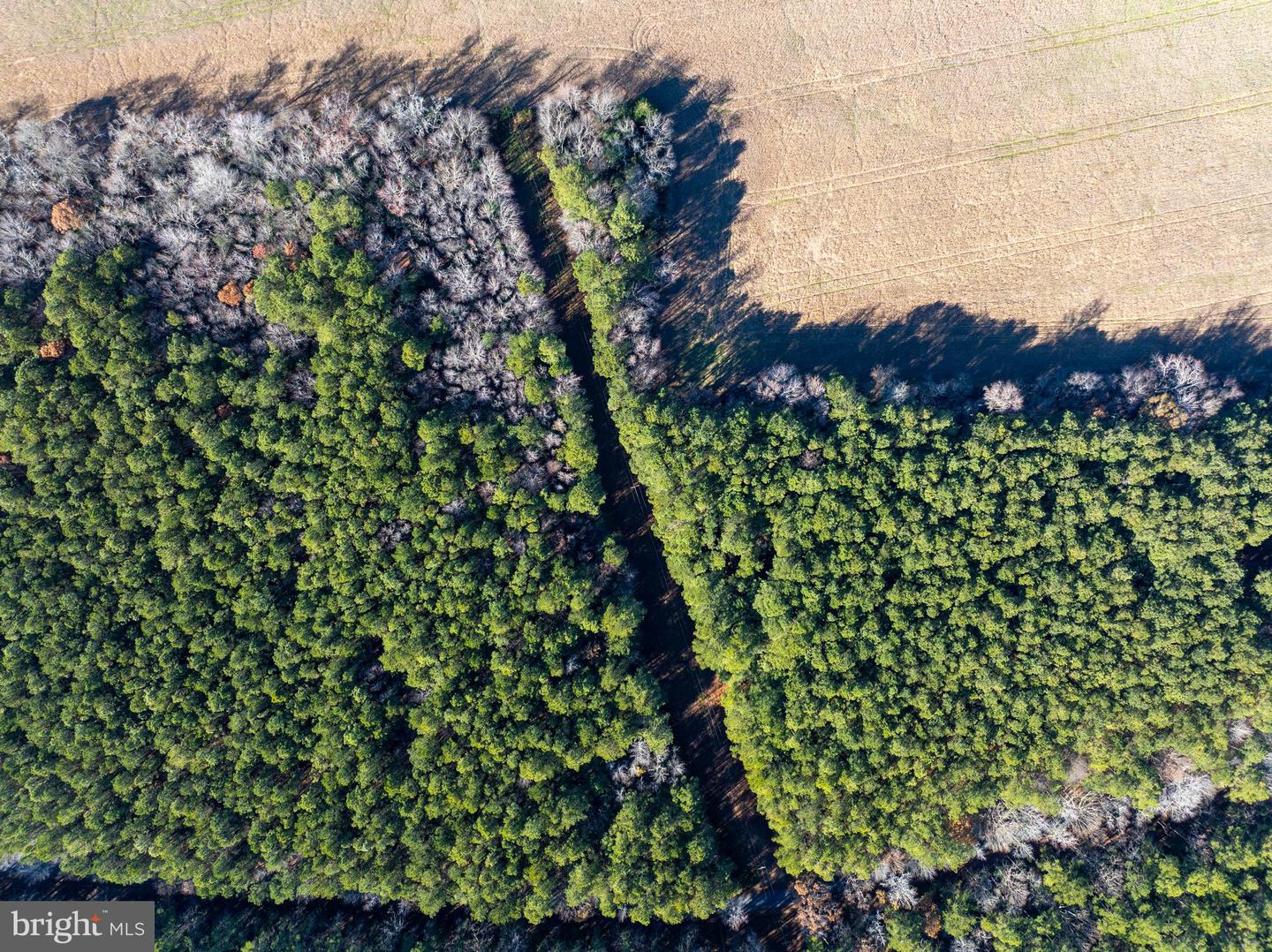 FOLLY CREEK RD, ACCOMAC, Virginia 23301, ,Farm,For sale,FOLLY CREEK RD,VAAC2002456 MLS # VAAC2002456 FOLLY CREEK RD, ACCOMAC, Virginia 23301, ,Farm,For sale,FOLLY CREEK RD,VAAC2002456 MLS # VAAC2002456