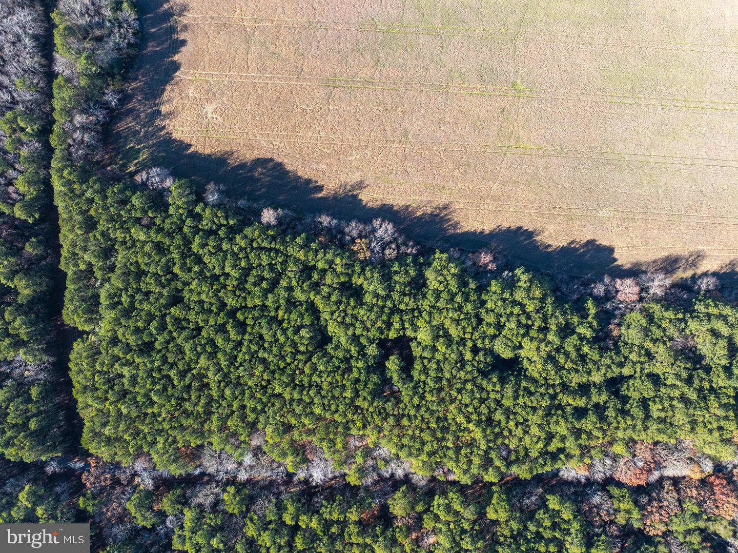 FOLLY CREEK RD, ACCOMAC, Virginia 23301, ,Farm,For sale,FOLLY CREEK RD,VAAC2002456 MLS # VAAC2002456 FOLLY CREEK RD, ACCOMAC, Virginia 23301, ,Farm,For sale,FOLLY CREEK RD,VAAC2002456 MLS # VAAC2002456