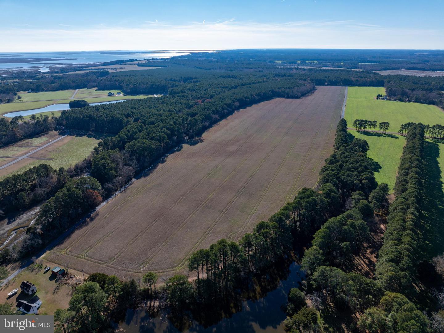 FOLLY CREEK RD, ACCOMAC, Virginia 23301, ,Farm,For sale,FOLLY CREEK RD,VAAC2002456 MLS # VAAC2002456 FOLLY CREEK RD, ACCOMAC, Virginia 23301, ,Farm,For sale,FOLLY CREEK RD,VAAC2002456 MLS # VAAC2002456