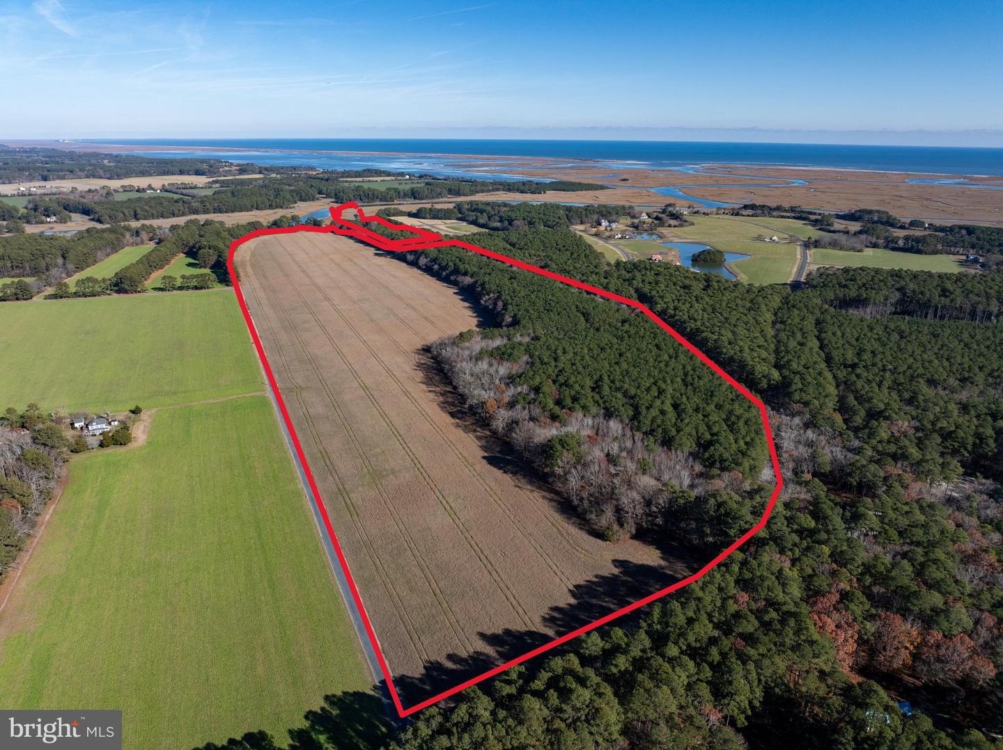 FOLLY CREEK RD, ACCOMAC, Virginia 23301, ,Farm,For sale,FOLLY CREEK RD,VAAC2002456 MLS # VAAC2002456 FOLLY CREEK RD, ACCOMAC, Virginia 23301, ,Farm,For sale,FOLLY CREEK RD,VAAC2002456 MLS # VAAC2002456