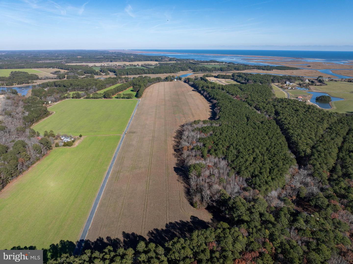 FOLLY CREEK RD, ACCOMAC, Virginia 23301, ,Farm,For sale,FOLLY CREEK RD,VAAC2002456 MLS # VAAC2002456 FOLLY CREEK RD, ACCOMAC, Virginia 23301, ,Farm,For sale,FOLLY CREEK RD,VAAC2002456 MLS # VAAC2002456