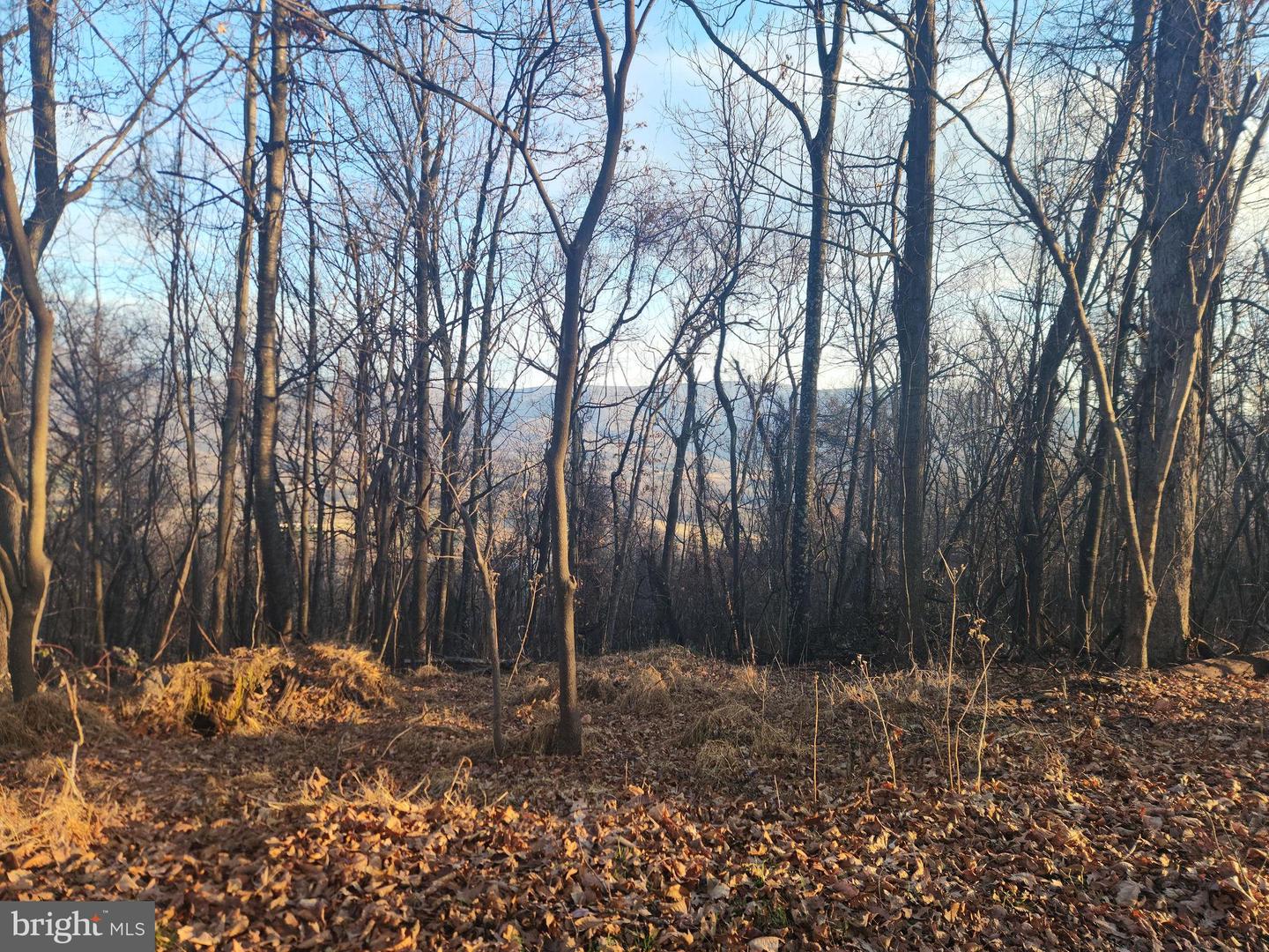 LOT 13 SEVEN OAKS DR, BENTONVILLE, Virginia 22610, ,Land,For sale,LOT 13 SEVEN OAKS DR,VAWR2012946 MLS # VAWR2012946 LOT 13 SEVEN OAKS DR, BENTONVILLE, Virginia 22610, ,Land,For sale,LOT 13 SEVEN OAKS DR,VAWR2012946 MLS # VAWR2012946