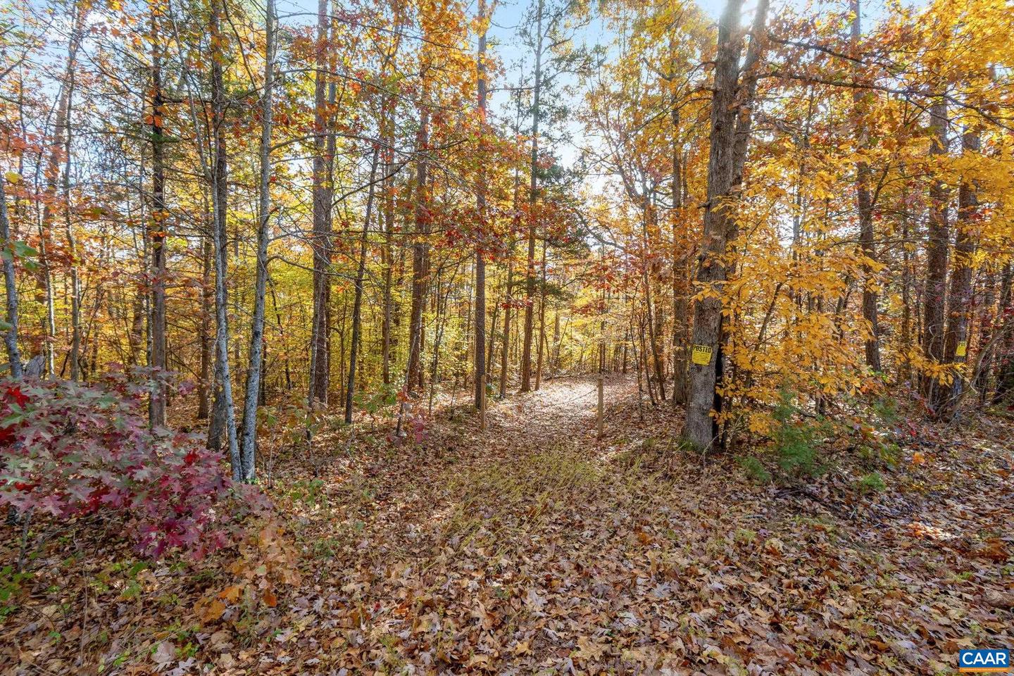 0 DELL PERKINS RD, LOUISA, Virginia 23093, ,Land,For sale,0 DELL PERKINS RD,671779 MLS # 671779 0 DELL PERKINS RD, LOUISA, Virginia 23093, ,Land,For sale,0 DELL PERKINS RD,671779 MLS # 671779