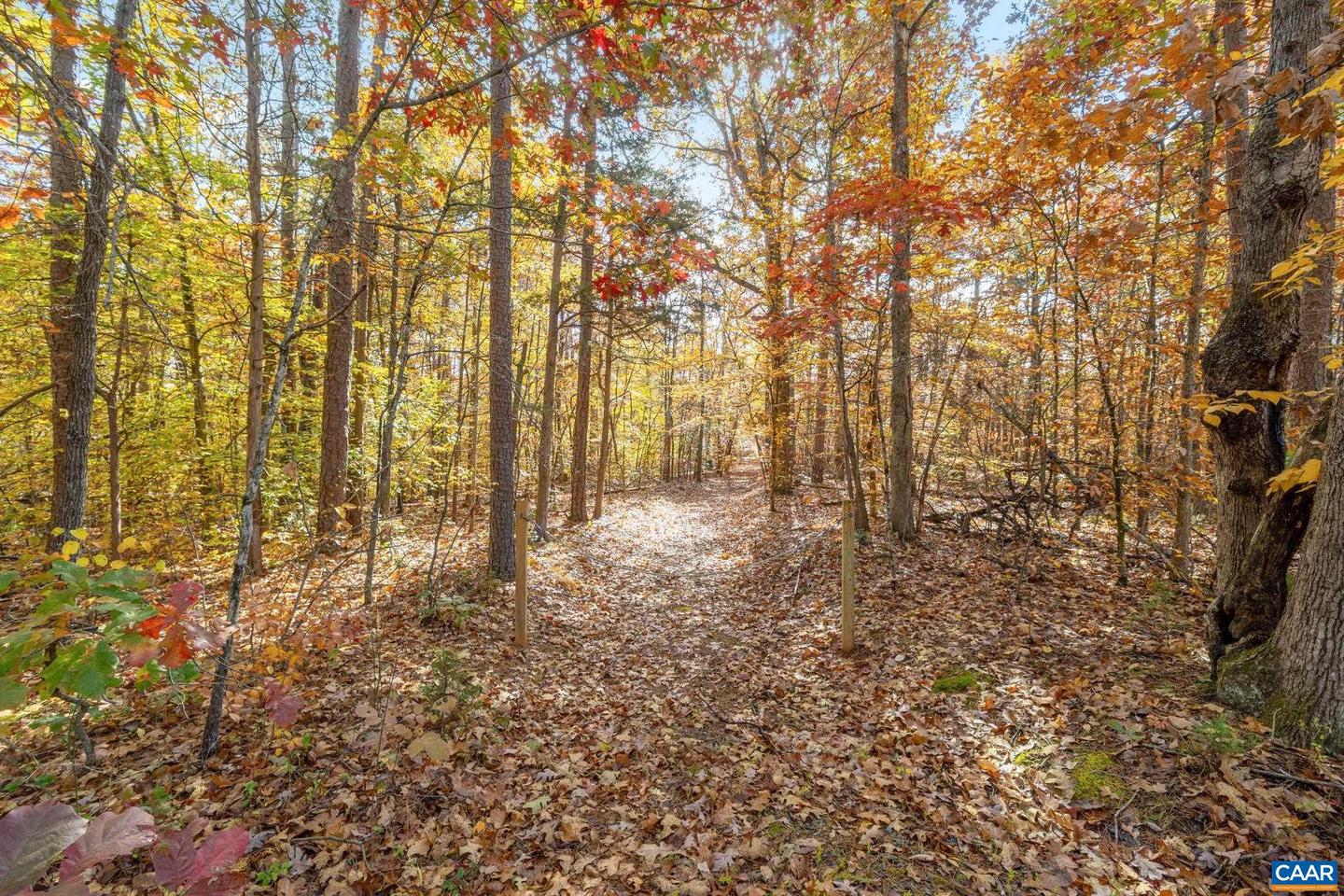 0 DELL PERKINS RD, LOUISA, Virginia 23093, ,Land,For sale,0 DELL PERKINS RD,671779 MLS # 671779 0 DELL PERKINS RD, LOUISA, Virginia 23093, ,Land,For sale,0 DELL PERKINS RD,671779 MLS # 671779