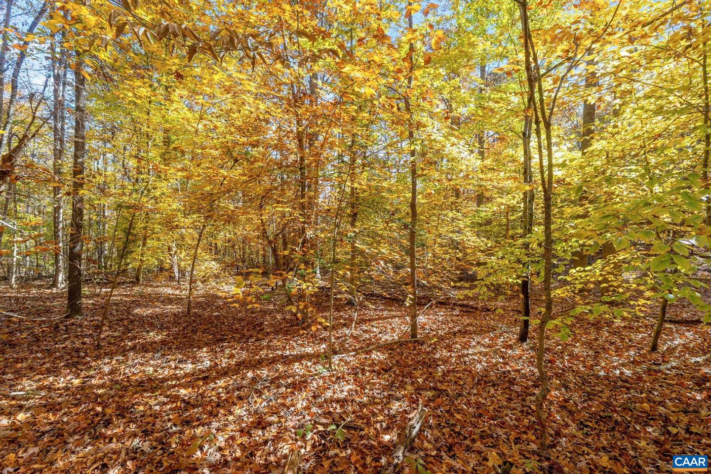 0 DELL PERKINS RD, LOUISA, Virginia 23093, ,Land,For sale,0 DELL PERKINS RD,671779 MLS # 671779 0 DELL PERKINS RD, LOUISA, Virginia 23093, ,Land,For sale,0 DELL PERKINS RD,671779 MLS # 671779