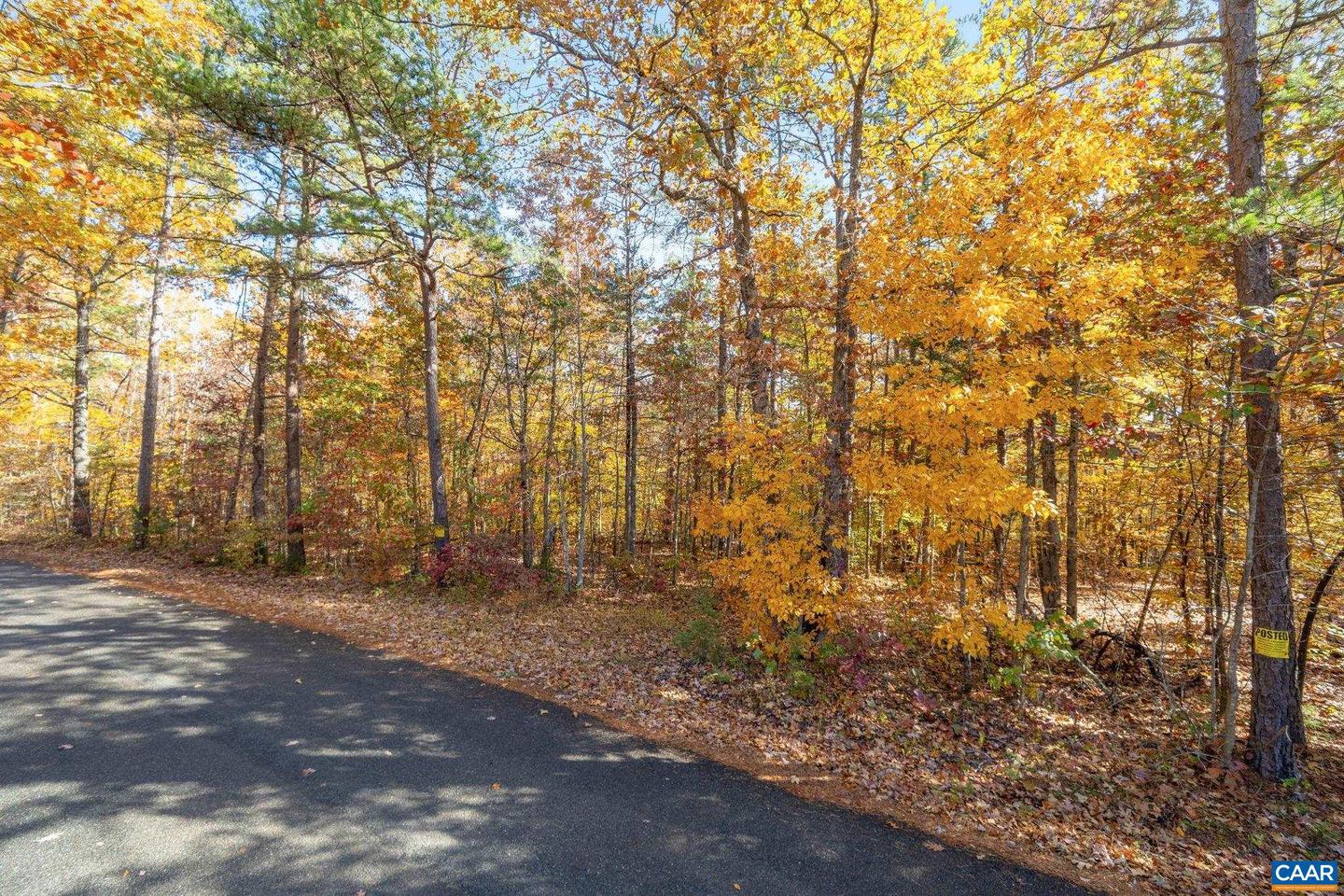 0 DELL PERKINS RD, LOUISA, Virginia 23093, ,Land,For sale,0 DELL PERKINS RD,671779 MLS # 671779 0 DELL PERKINS RD, LOUISA, Virginia 23093, ,Land,For sale,0 DELL PERKINS RD,671779 MLS # 671779