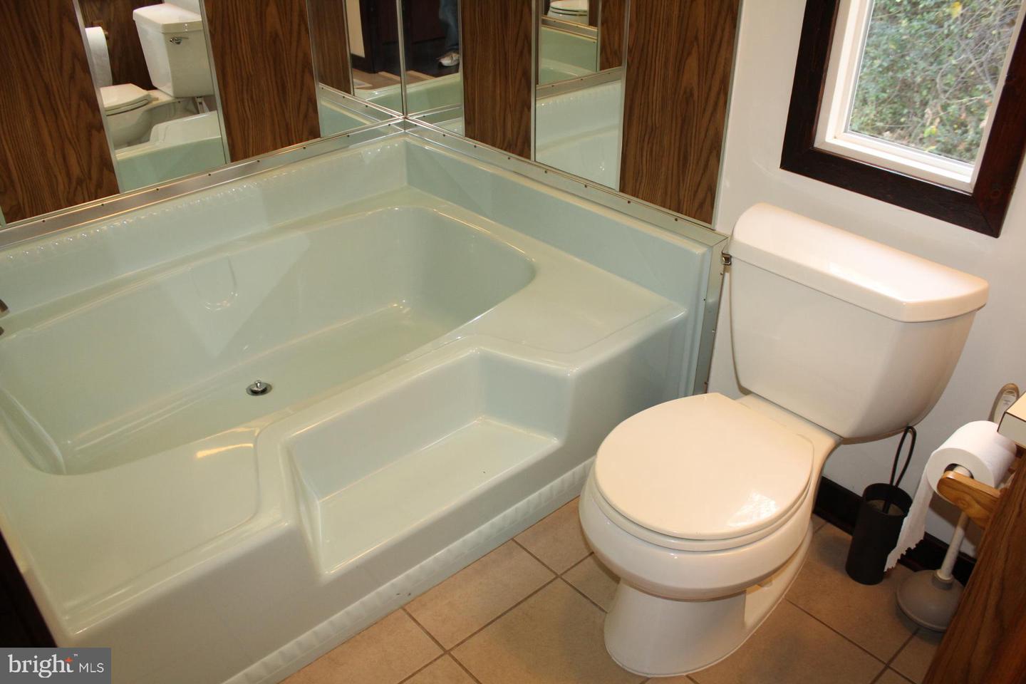 5274 BURR HILL RD, RHOADESVILLE, Virginia 22542, ,Land,For sale,5274 BURR HILL RD,VAOR2012944 MLS # VAOR2012944 5274 BURR HILL RD, RHOADESVILLE, Virginia 22542, ,Land,For sale,5274 BURR HILL RD,VAOR2012944 MLS # VAOR2012944