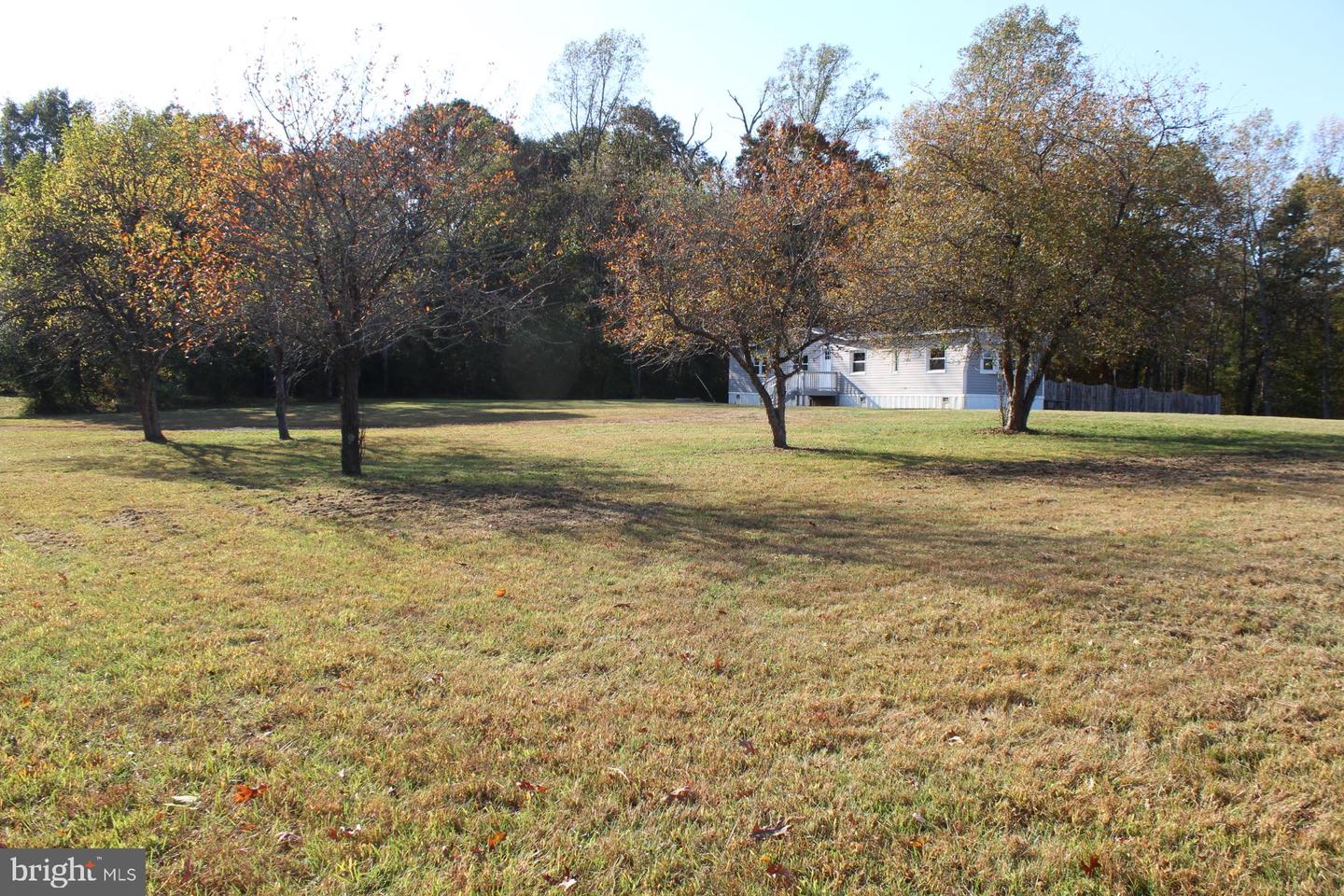 5274 BURR HILL RD, RHOADESVILLE, Virginia 22542, ,Land,For sale,5274 BURR HILL RD,VAOR2012944 MLS # VAOR2012944 5274 BURR HILL RD, RHOADESVILLE, Virginia 22542, ,Land,For sale,5274 BURR HILL RD,VAOR2012944 MLS # VAOR2012944