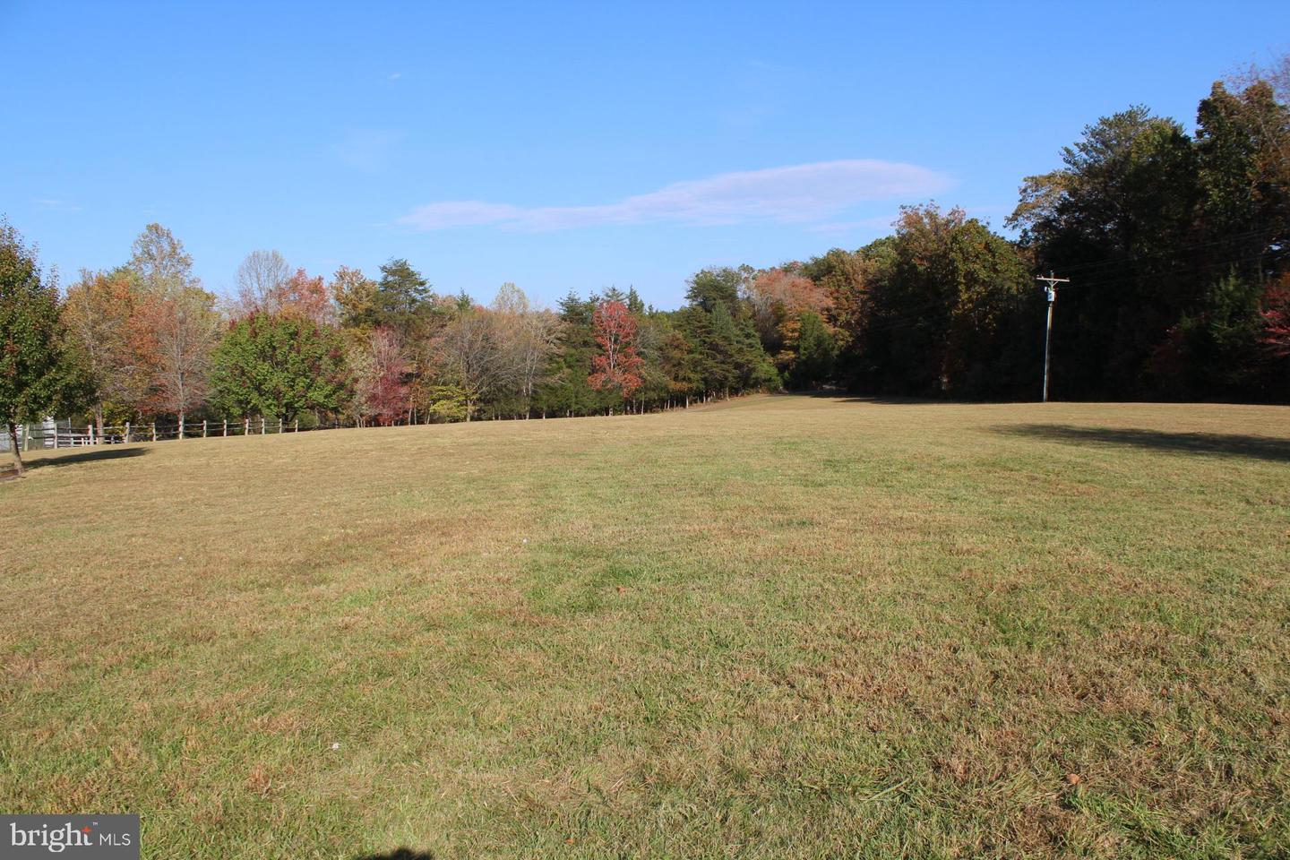 5274 BURR HILL RD, RHOADESVILLE, Virginia 22542, ,Land,For sale,5274 BURR HILL RD,VAOR2012944 MLS # VAOR2012944 5274 BURR HILL RD, RHOADESVILLE, Virginia 22542, ,Land,For sale,5274 BURR HILL RD,VAOR2012944 MLS # VAOR2012944
