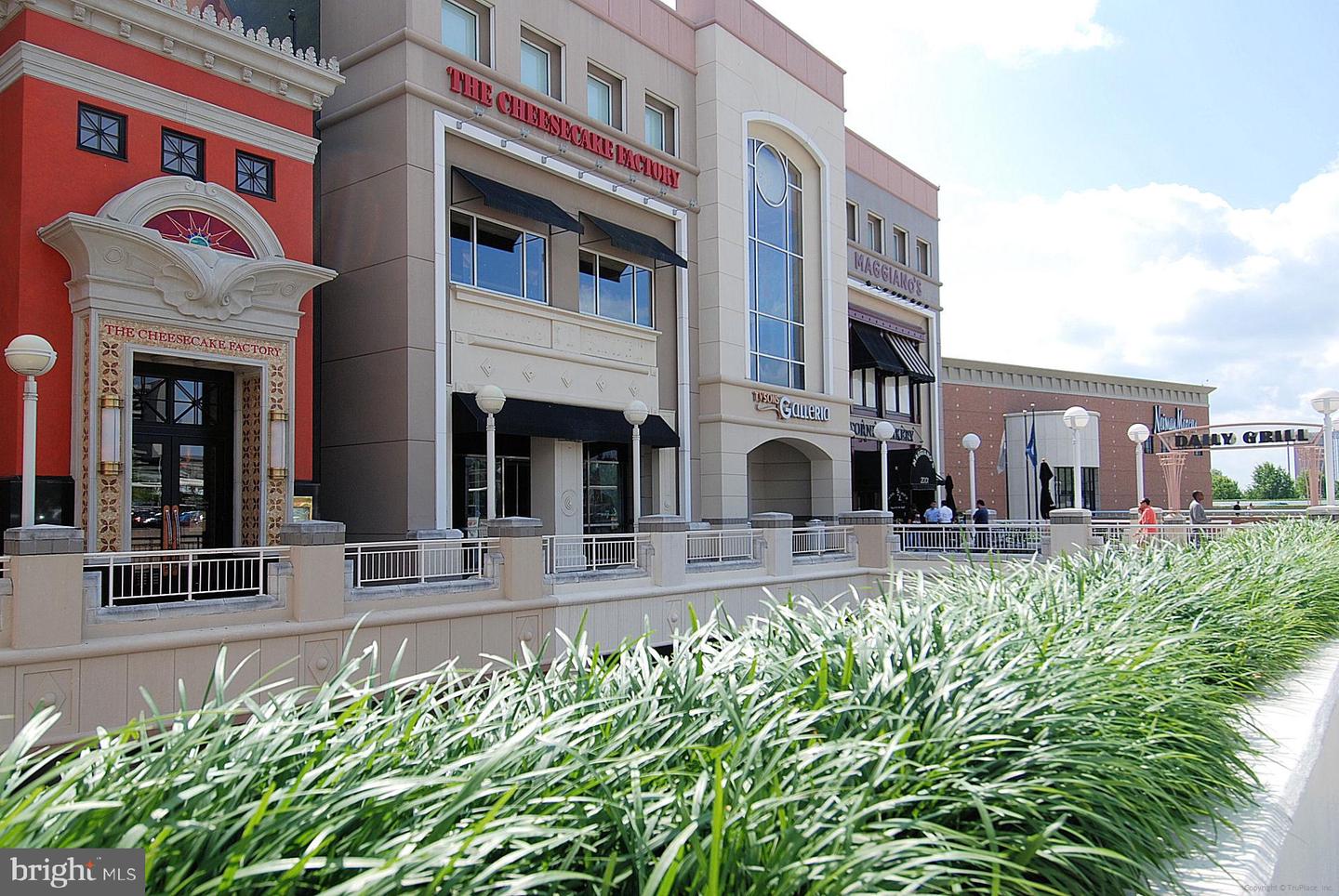 8340 GREENSBORO DR #402, MCLEAN, Virginia 22102, 1 Bedroom Bedrooms, ,1 BathroomBathrooms,Residential,For sale,8340 GREENSBORO DR #402,VAFX2279346 MLS # VAFX2279346 8340 GREENSBORO DR #402, MCLEAN, Virginia 22102, 1 Bedroom Bedrooms, ,1 BathroomBathrooms,Residential,For sale,8340 GREENSBORO DR #402,VAFX2279346 MLS # VAFX2279346