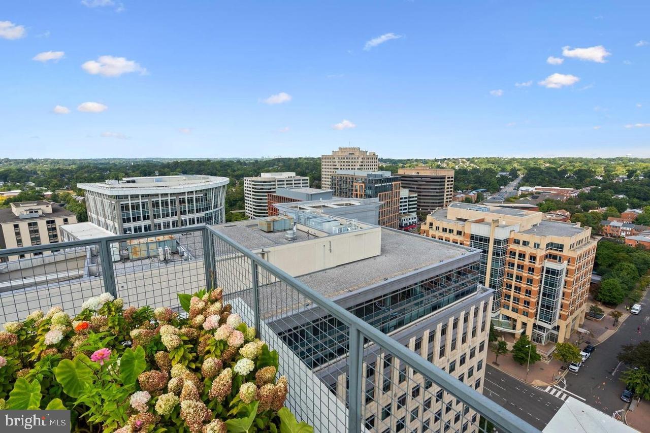 851 N GLEBE RD #707, ARLINGTON, Virginia 22203, 1 Bedroom Bedrooms, ,1 BathroomBathrooms,Residential,For sale,851 N GLEBE RD #707,VAAR2066826 MLS # VAAR2066826 851 N GLEBE RD #707, ARLINGTON, Virginia 22203, 1 Bedroom Bedrooms, ,1 BathroomBathrooms,Residential,For sale,851 N GLEBE RD #707,VAAR2066826 MLS # VAAR2066826