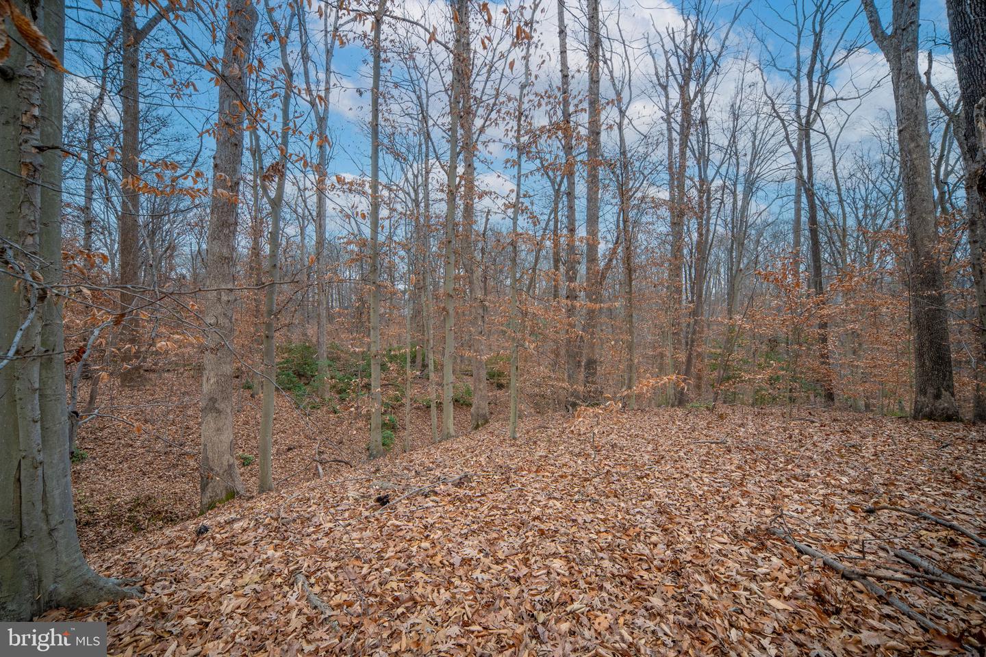 10 LAWRENCE, FREDERICKSBURG, Virginia 22405, 5 Bedrooms Bedrooms, ,4 BathroomsBathrooms,Residential,For sale,10 LAWRENCE,VAST2044684 MLS # VAST2044684 10 LAWRENCE, FREDERICKSBURG, Virginia 22405, 5 Bedrooms Bedrooms, ,4 BathroomsBathrooms,Residential,For sale,10 LAWRENCE,VAST2044684 MLS # VAST2044684