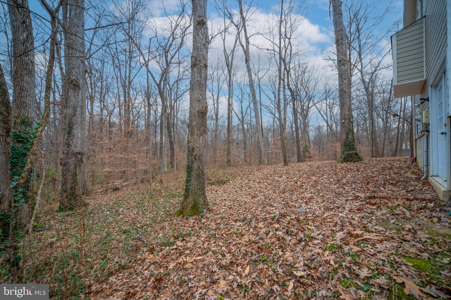 10 LAWRENCE, FREDERICKSBURG, Virginia 22405, 5 Bedrooms Bedrooms, ,4 BathroomsBathrooms,Residential,For sale,10 LAWRENCE,VAST2044684 MLS # VAST2044684 10 LAWRENCE, FREDERICKSBURG, Virginia 22405, 5 Bedrooms Bedrooms, ,4 BathroomsBathrooms,Residential,For sale,10 LAWRENCE,VAST2044684 MLS # VAST2044684