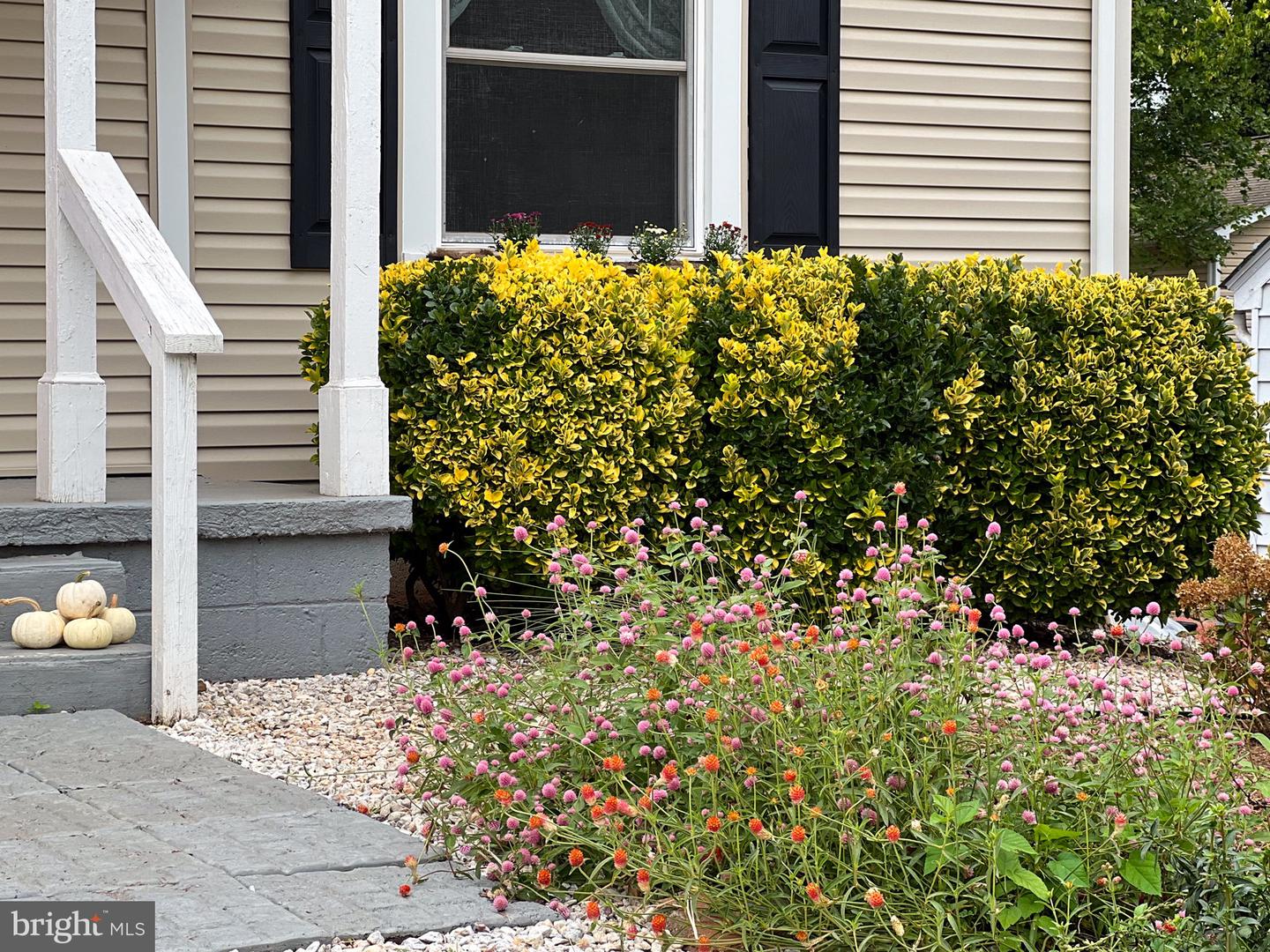 1314 S WEST ST, CULPEPER, Virginia 22701, 2 Bedrooms Bedrooms, ,1 BathroomBathrooms,Residential,For sale,1314 S WEST ST,VACU2012220 MLS # VACU2012220 1314 S WEST ST, CULPEPER, Virginia 22701, 2 Bedrooms Bedrooms, ,1 BathroomBathrooms,Residential,For sale,1314 S WEST ST,VACU2012220 MLS # VACU2012220