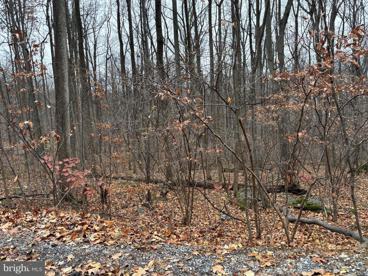 L12 APPLE MOUNTAIN LK S, LINDEN, Virginia 22642, ,Land,For sale,L12 APPLE MOUNTAIN LK S,VAWR2012924 MLS # VAWR2012924 L12 APPLE MOUNTAIN LK S, LINDEN, Virginia 22642, ,Land,For sale,L12 APPLE MOUNTAIN LK S,VAWR2012924 MLS # VAWR2012924