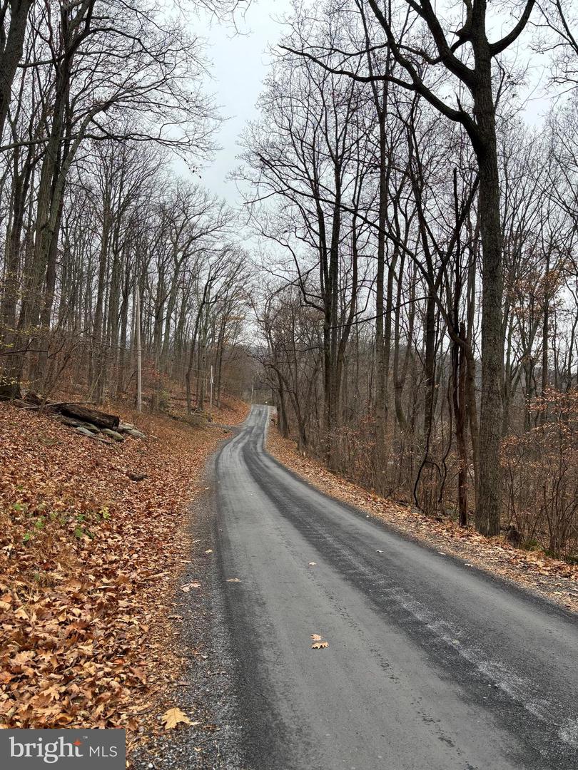 L12 APPLE MOUNTAIN LK S, LINDEN, Virginia 22642, ,Land,For sale,L12 APPLE MOUNTAIN LK S,VAWR2012924 MLS # VAWR2012924 L12 APPLE MOUNTAIN LK S, LINDEN, Virginia 22642, ,Land,For sale,L12 APPLE MOUNTAIN LK S,VAWR2012924 MLS # VAWR2012924