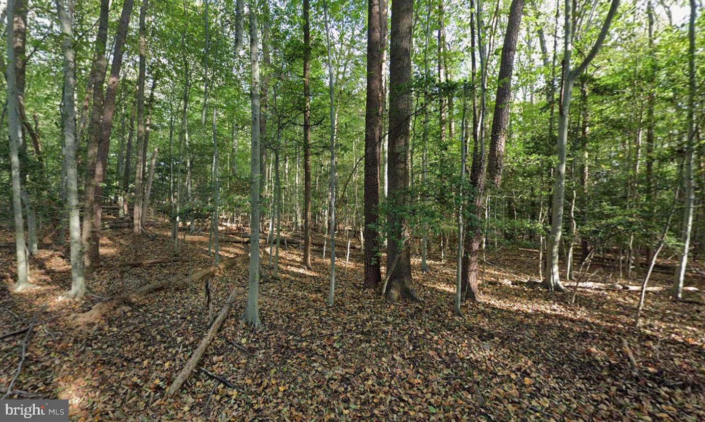 161 YARNICK RD, GREAT FALLS, Virginia 22066, ,Land,For sale,161 YARNICK RD,VAFX2282368 MLS # VAFX2282368