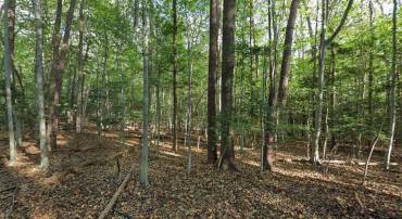 161 YARNICK RD, GREAT FALLS, Virginia 22066, ,Land,For sale,161 YARNICK RD,VAFX2282368 MLS # VAFX2282368