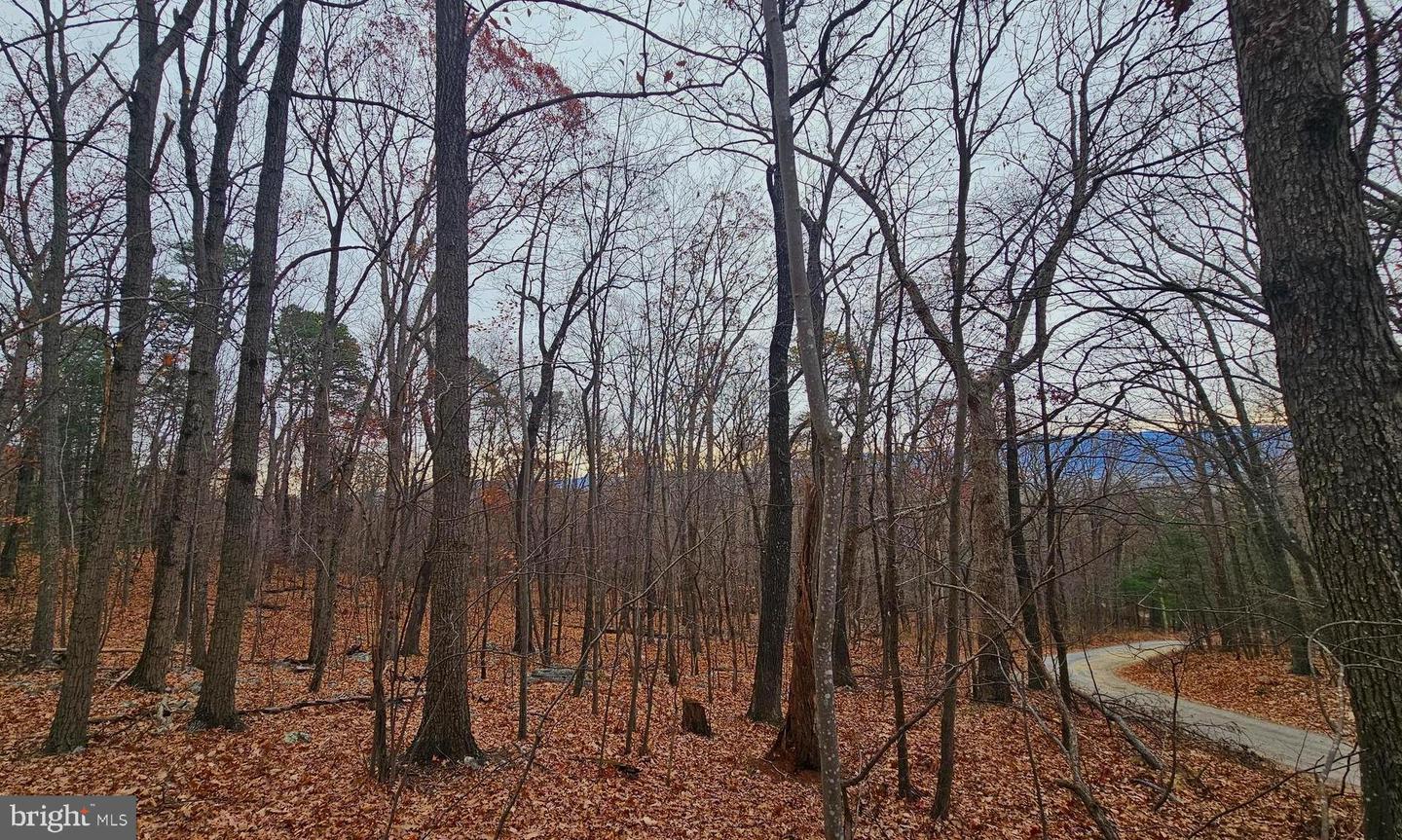 TBD FOREST DRIVE EXT, LURAY, Virginia 22835, ,Land,For sale,TBD FOREST DRIVE EXT,VAPA2005722 MLS # VAPA2005722