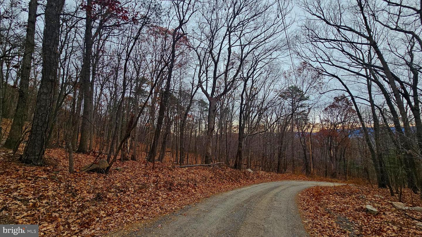 TBD FOREST DRIVE EXT, LURAY, Virginia 22835, ,Land,For sale,TBD FOREST DRIVE EXT,VAPA2005722 MLS # VAPA2005722 TBD FOREST DRIVE EXT, LURAY, Virginia 22835, ,Land,For sale,TBD FOREST DRIVE EXT,VAPA2005722 MLS # VAPA2005722