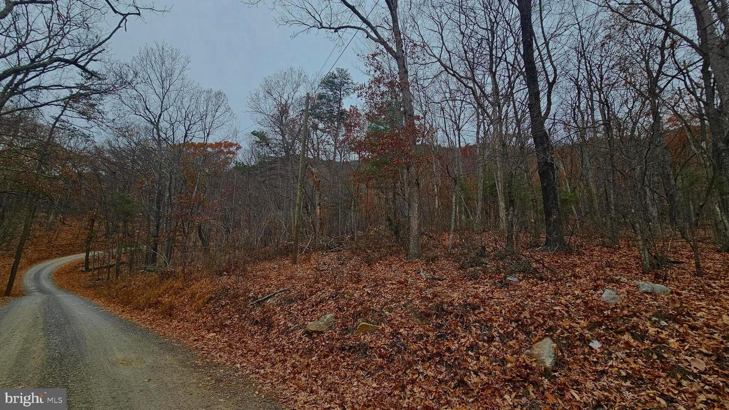 TBD FOREST DRIVE EXT, LURAY, Virginia 22835, ,Land,For sale,TBD FOREST DRIVE EXT,VAPA2005722 MLS # VAPA2005722 TBD FOREST DRIVE EXT, LURAY, Virginia 22835, ,Land,For sale,TBD FOREST DRIVE EXT,VAPA2005722 MLS # VAPA2005722