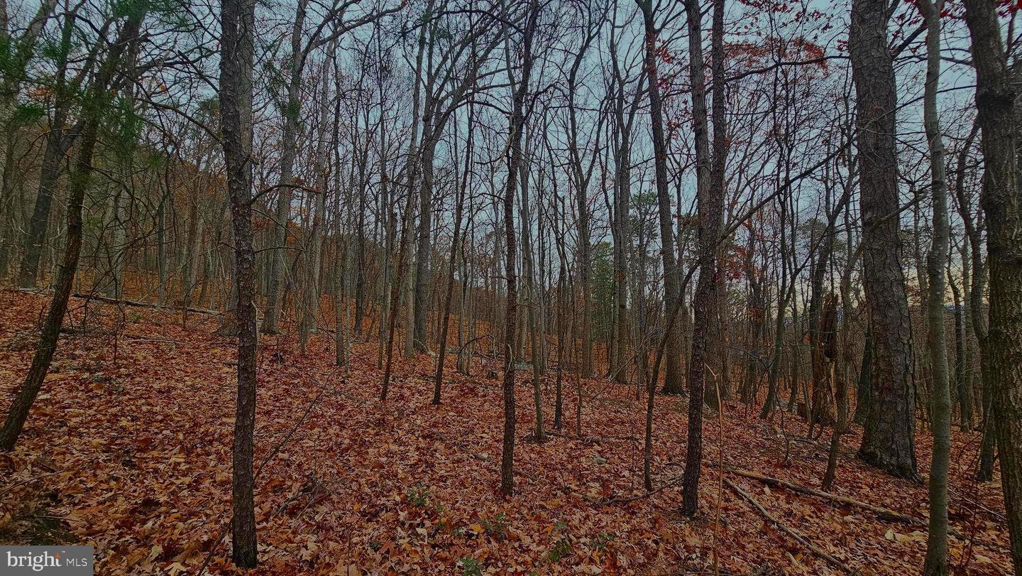 TBD FOREST DRIVE EXT, LURAY, Virginia 22835, ,Land,For sale,TBD FOREST DRIVE EXT,VAPA2005722 MLS # VAPA2005722 TBD FOREST DRIVE EXT, LURAY, Virginia 22835, ,Land,For sale,TBD FOREST DRIVE EXT,VAPA2005722 MLS # VAPA2005722