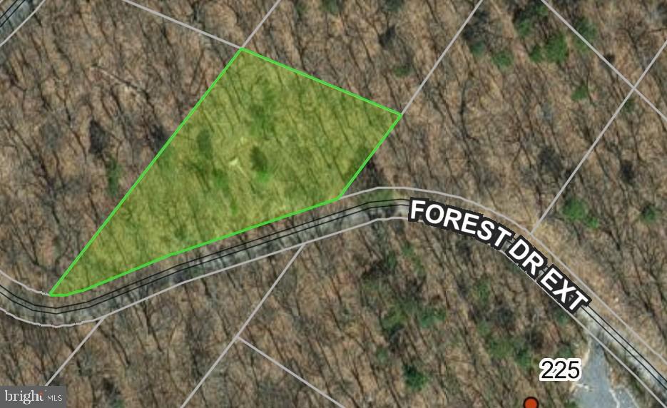 TBD FOREST DRIVE EXT, LURAY, Virginia 22835, ,Land,For sale,TBD FOREST DRIVE EXT,VAPA2005722 MLS # VAPA2005722 TBD FOREST DRIVE EXT, LURAY, Virginia 22835, ,Land,For sale,TBD FOREST DRIVE EXT,VAPA2005722 MLS # VAPA2005722