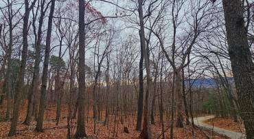TBD FOREST DRIVE EXT, LURAY, Virginia 22835, ,Land,For sale,TBD FOREST DRIVE EXT,VAPA2005722 MLS # VAPA2005722