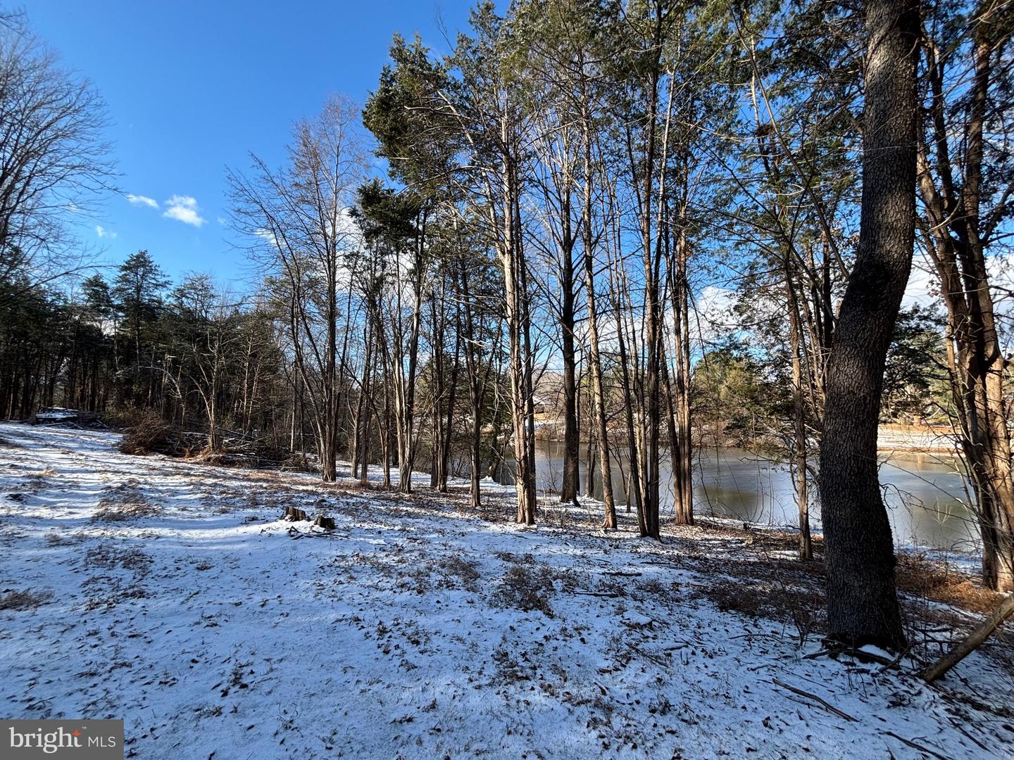 00 MCALEXANDER RD, ORANGE, Virginia 22960, ,Land,For sale,00 MCALEXANDER RD,VAOR2012950 MLS # VAOR2012950