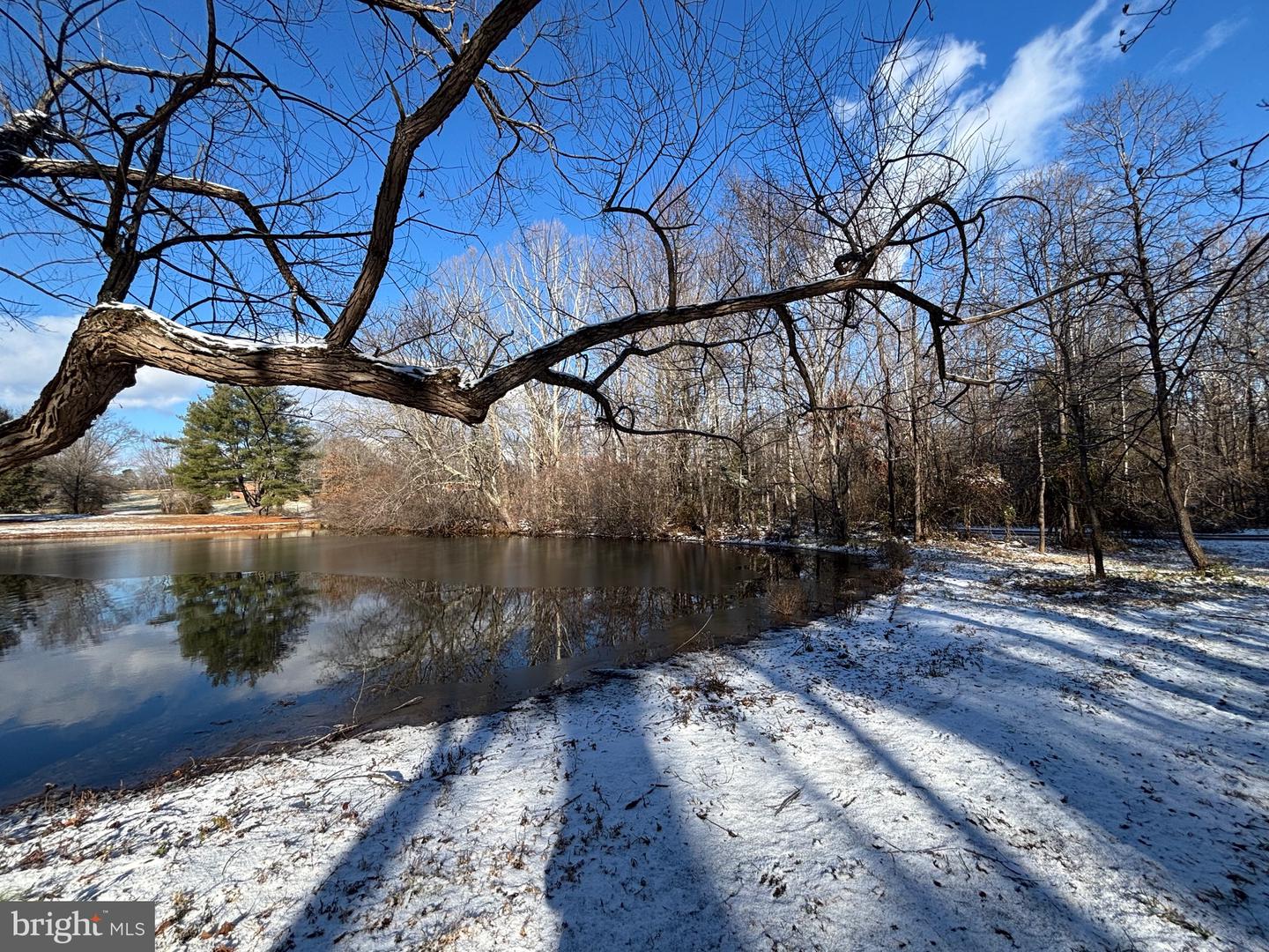 00 MCALEXANDER RD, ORANGE, Virginia 22960, ,Land,For sale,00 MCALEXANDER RD,VAOR2012950 MLS # VAOR2012950