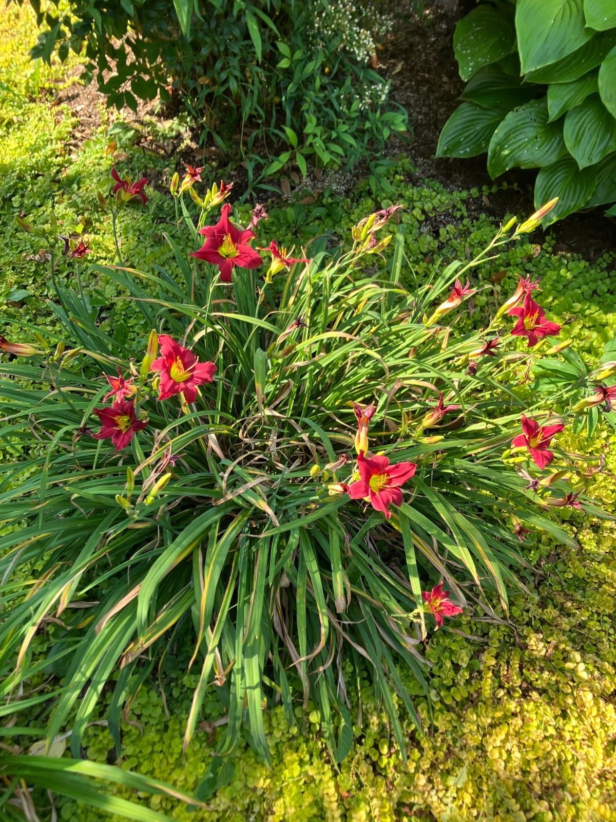 7011 SOUTH EAST SIDE HWY, ELKTON, Virginia 22827, 4 Bedrooms Bedrooms, ,2 BathroomsBathrooms,Residential,7011 SOUTH EAST SIDE HWY,671802 MLS # 671802 7011 SOUTH EAST SIDE HWY, ELKTON, Virginia 22827, 4 Bedrooms Bedrooms, ,2 BathroomsBathrooms,Residential,7011 SOUTH EAST SIDE HWY,671802 MLS # 671802