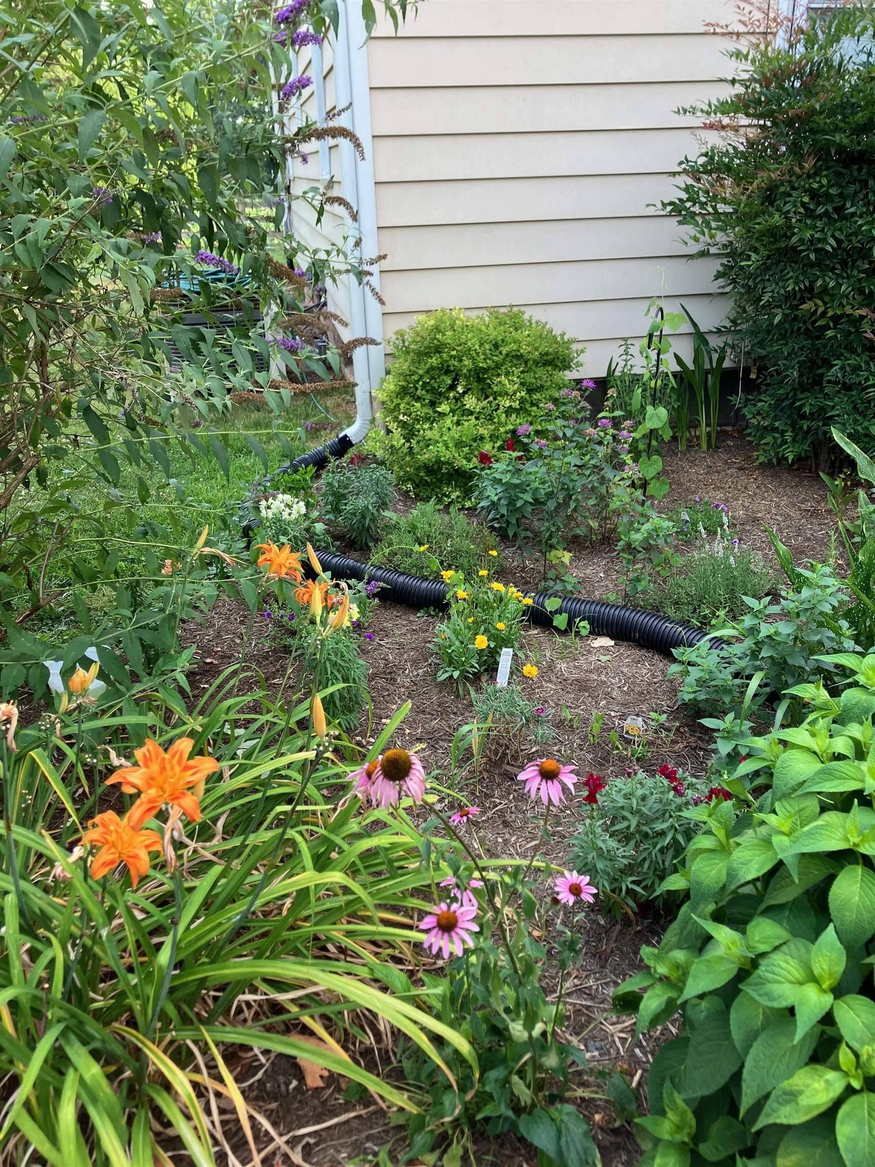 7011 SOUTH EAST SIDE HWY, ELKTON, Virginia 22827, 4 Bedrooms Bedrooms, ,2 BathroomsBathrooms,Residential,7011 SOUTH EAST SIDE HWY,671802 MLS # 671802 7011 SOUTH EAST SIDE HWY, ELKTON, Virginia 22827, 4 Bedrooms Bedrooms, ,2 BathroomsBathrooms,Residential,7011 SOUTH EAST SIDE HWY,671802 MLS # 671802