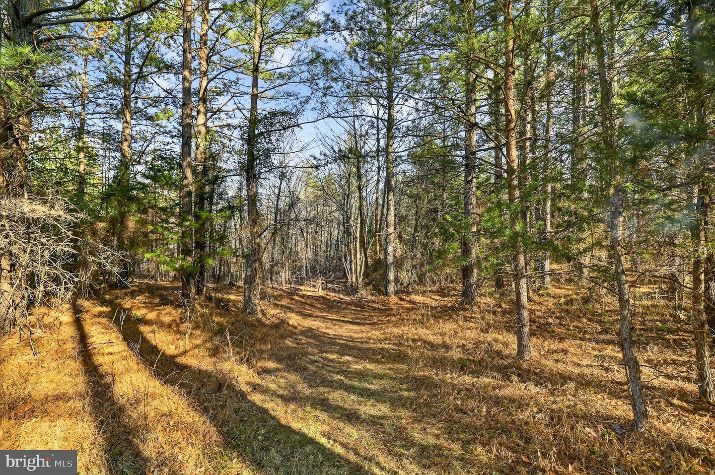 293 PENNY ANN LN, STRASBURG, Virginia 22657, 3 Bedrooms Bedrooms, ,3 BathroomsBathrooms,Residential,For sale,293 PENNY ANN LN,VAWR2012848 MLS # VAWR2012848 293 PENNY ANN LN, STRASBURG, Virginia 22657, 3 Bedrooms Bedrooms, ,3 BathroomsBathrooms,Residential,For sale,293 PENNY ANN LN,VAWR2012848 MLS # VAWR2012848