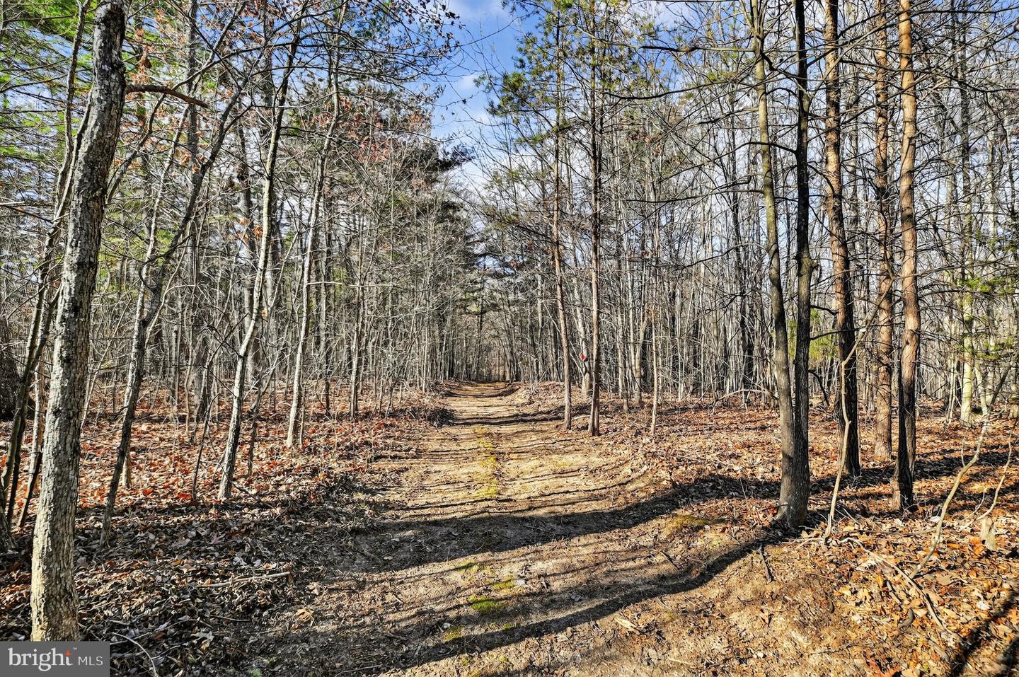 293 PENNY ANN LN, STRASBURG, Virginia 22657, 3 Bedrooms Bedrooms, ,3 BathroomsBathrooms,Residential,For sale,293 PENNY ANN LN,VAWR2012848 MLS # VAWR2012848 293 PENNY ANN LN, STRASBURG, Virginia 22657, 3 Bedrooms Bedrooms, ,3 BathroomsBathrooms,Residential,For sale,293 PENNY ANN LN,VAWR2012848 MLS # VAWR2012848