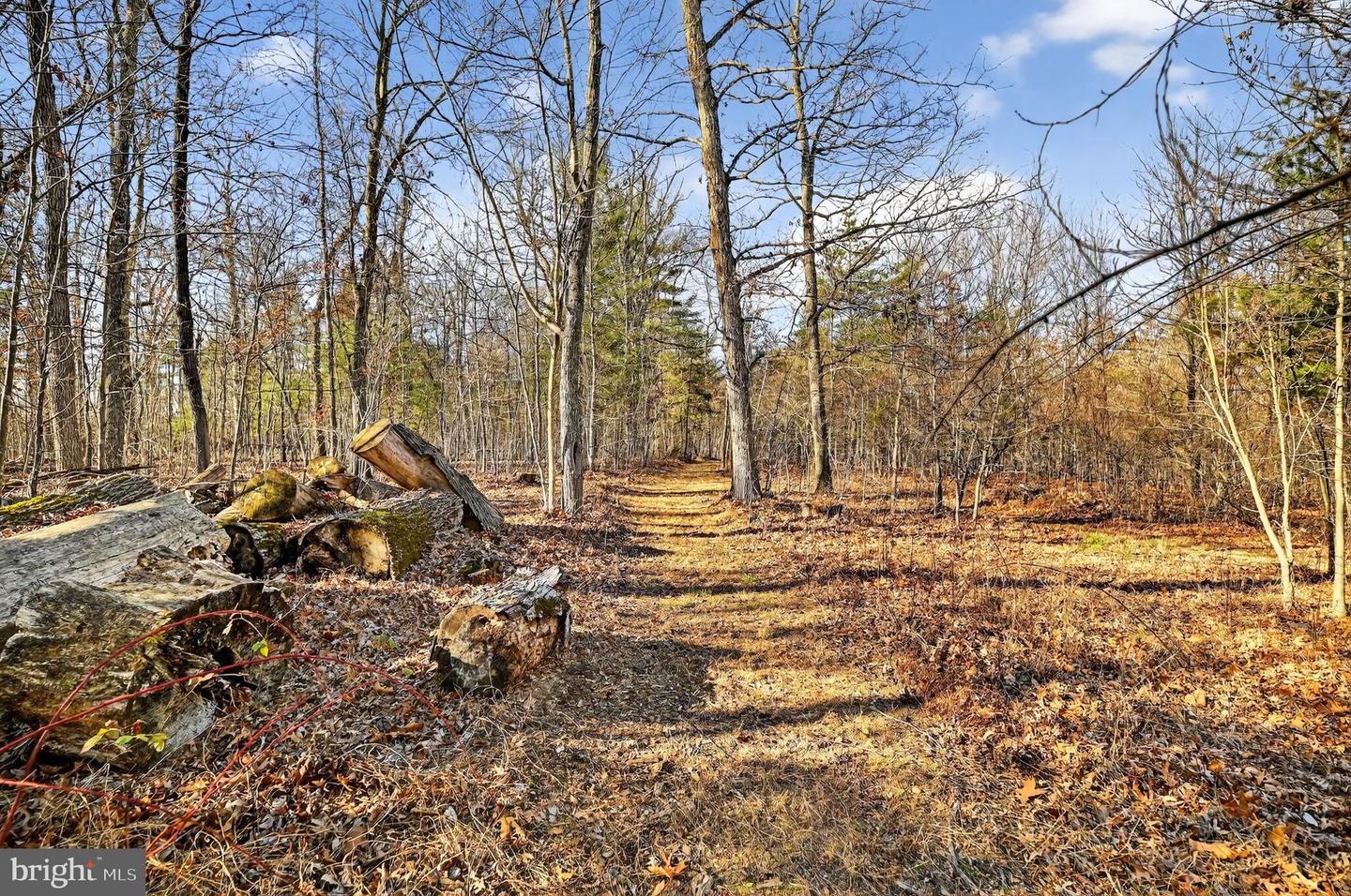 293 PENNY ANN LN, STRASBURG, Virginia 22657, 3 Bedrooms Bedrooms, ,3 BathroomsBathrooms,Residential,For sale,293 PENNY ANN LN,VAWR2012848 MLS # VAWR2012848 293 PENNY ANN LN, STRASBURG, Virginia 22657, 3 Bedrooms Bedrooms, ,3 BathroomsBathrooms,Residential,For sale,293 PENNY ANN LN,VAWR2012848 MLS # VAWR2012848