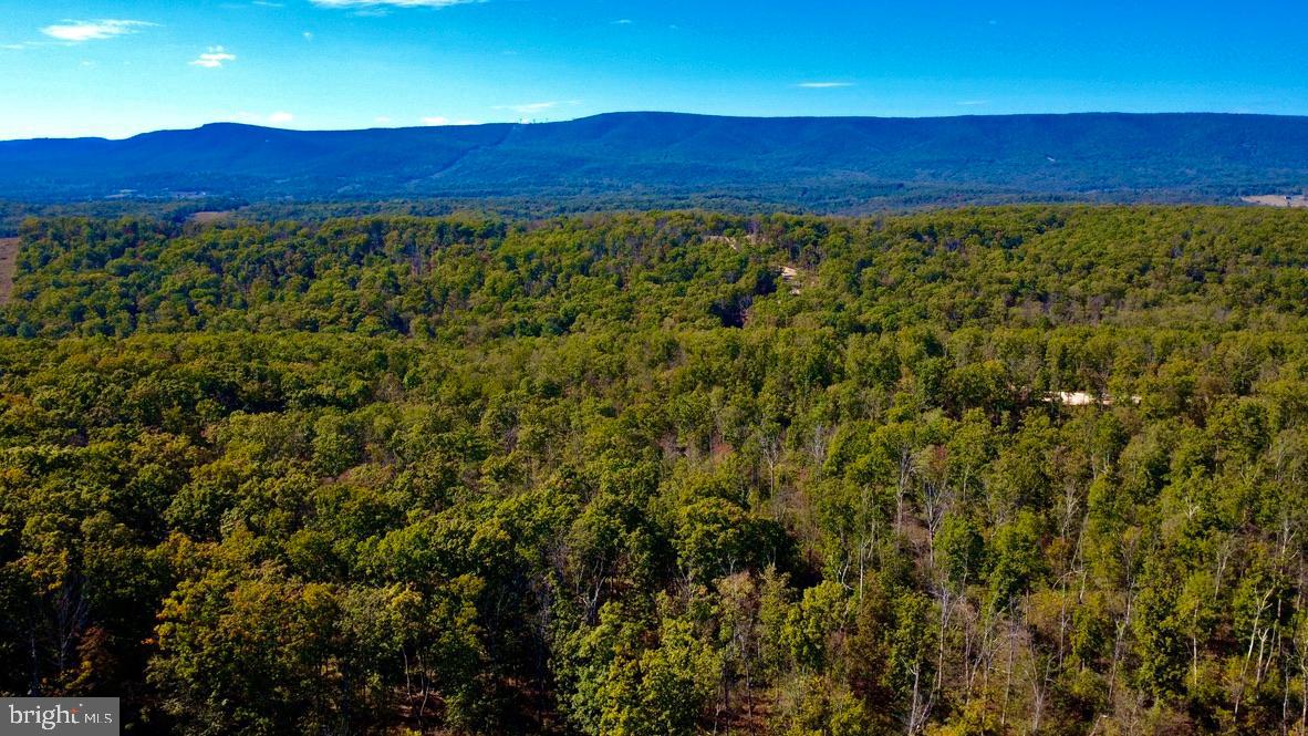 152.44 ACRES LOT 2 LAUREL GROVE RD, WINCHESTER, Virginia 22602, ,Farm,For sale,152.44 ACRES LOT 2 LAUREL GROVE RD,VAFV2038448 MLS # VAFV2038448 152.44 ACRES LOT 2 LAUREL GROVE RD, WINCHESTER, Virginia 22602, ,Farm,For sale,152.44 ACRES LOT 2 LAUREL GROVE RD,VAFV2038448 MLS # VAFV2038448