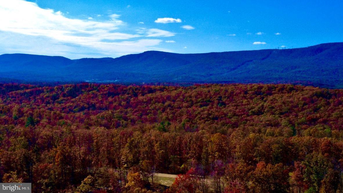 152.44 ACRES LOT 2 LAUREL GROVE RD, WINCHESTER, Virginia 22602, ,Farm,For sale,152.44 ACRES LOT 2 LAUREL GROVE RD,VAFV2038448 MLS # VAFV2038448 152.44 ACRES LOT 2 LAUREL GROVE RD, WINCHESTER, Virginia 22602, ,Farm,For sale,152.44 ACRES LOT 2 LAUREL GROVE RD,VAFV2038448 MLS # VAFV2038448