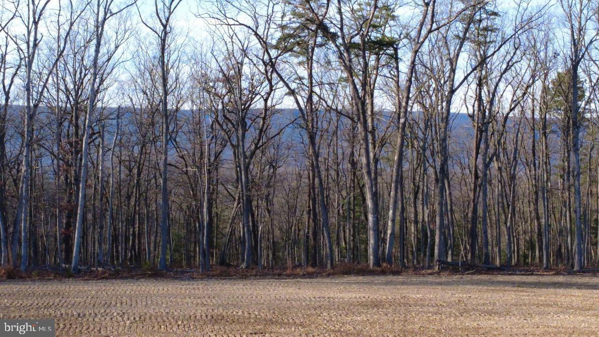 152.44 ACRES LOT 2 LAUREL GROVE RD, WINCHESTER, Virginia 22602, ,Farm,For sale,152.44 ACRES LOT 2 LAUREL GROVE RD,VAFV2038448 MLS # VAFV2038448 152.44 ACRES LOT 2 LAUREL GROVE RD, WINCHESTER, Virginia 22602, ,Farm,For sale,152.44 ACRES LOT 2 LAUREL GROVE RD,VAFV2038448 MLS # VAFV2038448